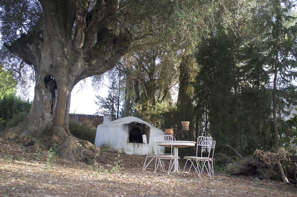 Villas De La Ermita Vejer de la Frontera Kültér fotó